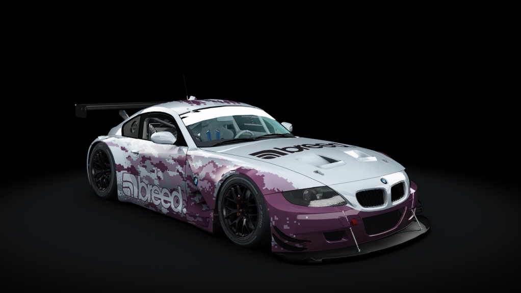 BMW Z4 M Coupe GT3, skin 10